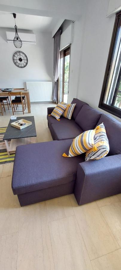 Electra Apartment Agia Triada Bagian luar foto